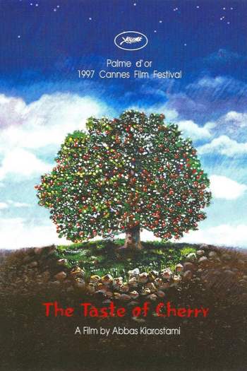 8m8dylbf6trvchpayvjjt3vjqmf