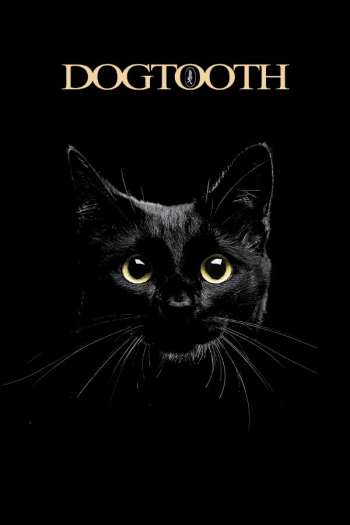 aikpsnxycvxc65wmsvkas8tnctu