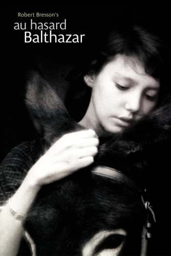 wgplttohjxlnbarj3x4zcwf64c5